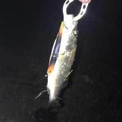 40分間3連続キャッチ