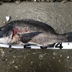 イチノ兄弟、釣果！