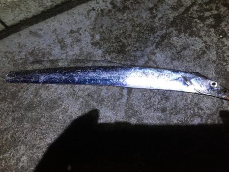 頑張ってれば…