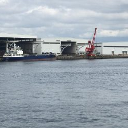 今年初タコゲット