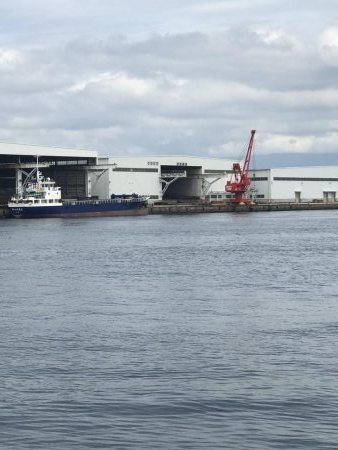 今年初タコゲット