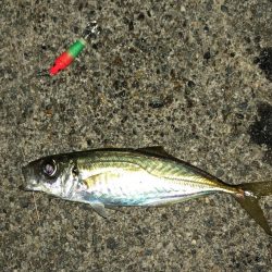 メタルスッテアジング成立