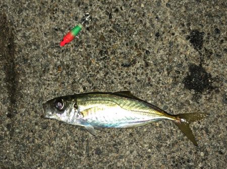 メタルスッテアジング成立