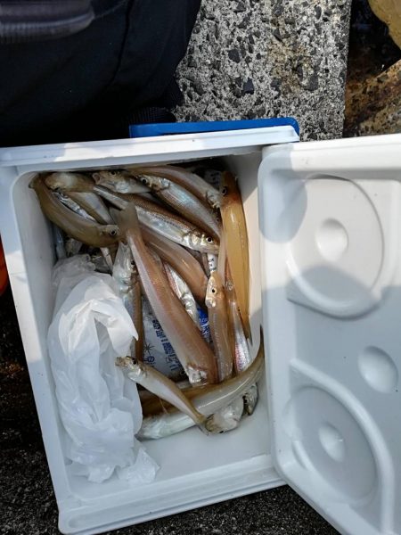 キスシーズンインか