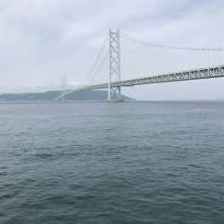 青物なし。豆アジ多し！