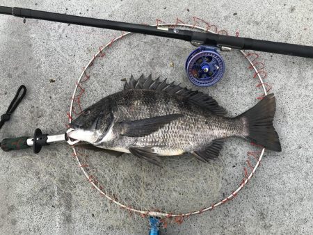 ブンブンスライダー