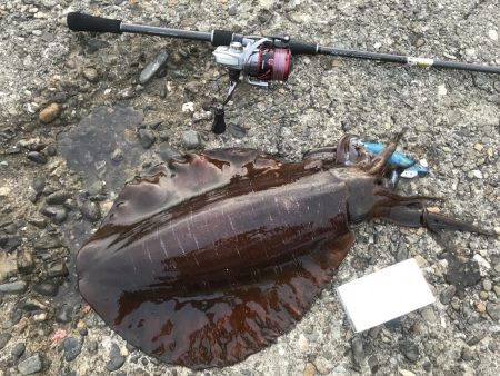 朝イチに。。。