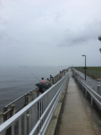 雨の日って釣れるのかな?