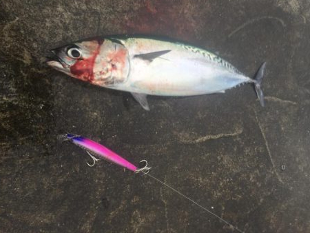 イベントが凄い！