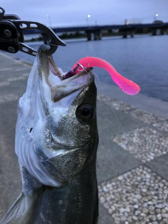 雨上がりはいい