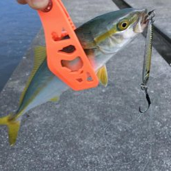 ポーアイ沖堤防LSJ