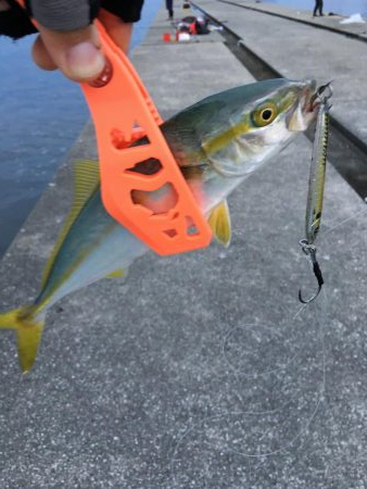 ポーアイ沖堤防LSJ