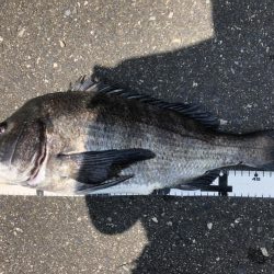 イチノ兄弟、釣果!