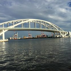 タコ調子上向き？