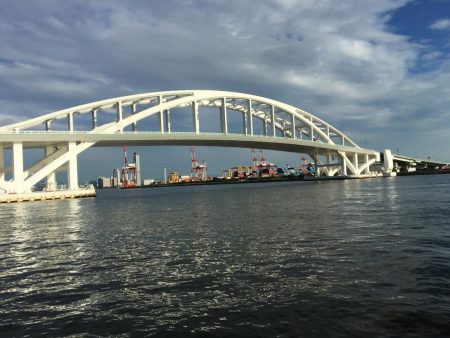 タコ調子上向き？