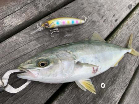 一日中釣れてます！