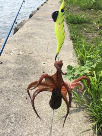 出だしは良かったものの