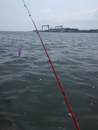 ボートフィッシング