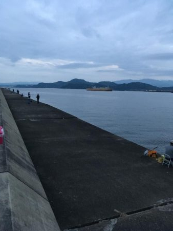 マリンピアでモジャコ祭り