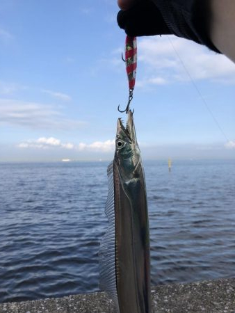 情報は伊達じゃ無いっす！