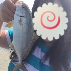 ショッコ、アイナメ、サバ、メバル爆釣day