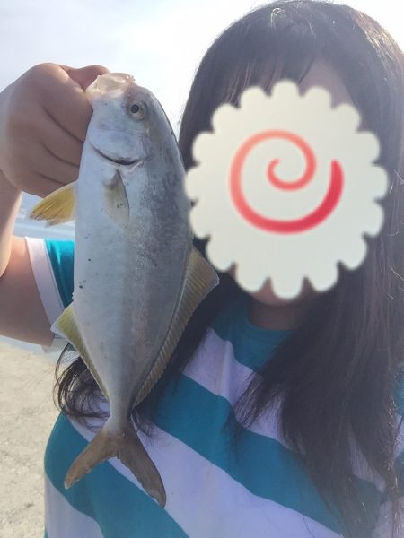 ショッコ、アイナメ、サバ、メバル爆釣day