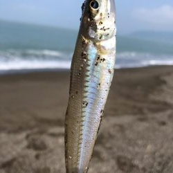 ライトタックルちょい投げ初‼︎