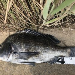 イチノ兄弟、釣果!