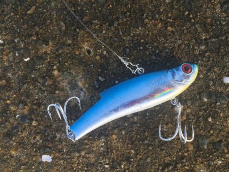 何投げても釣れる