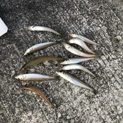 小潮16時から18時