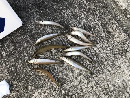 小潮16時から18時