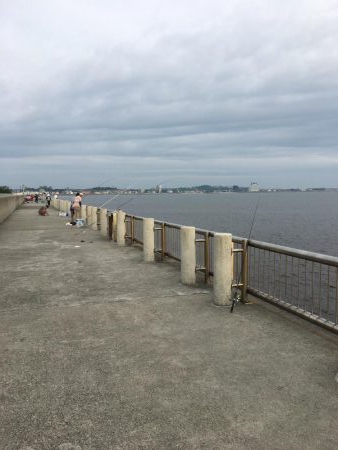 夕方の寝魚探り