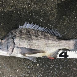 イチノ兄弟、釣果！