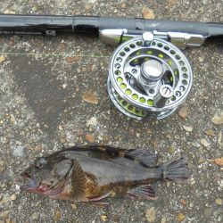 花火大会とは知らず３週連続ならず