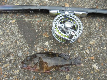 花火大会とは知らず３週連続ならず