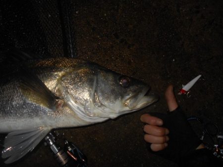 ランカーが暴走！！