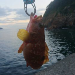 初場所でうまいやつ