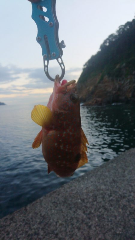 初場所でうまいやつ