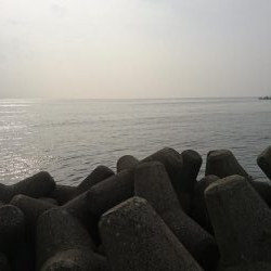 朝マズメ  ライトショアジギング