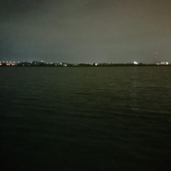 とうとうやりました❗