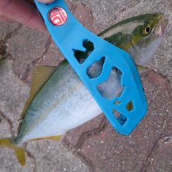 リリースサイズ