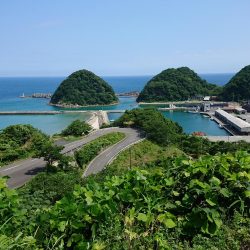 ちょこちょこ釣れてます