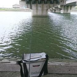 なんでも！釣りたい！