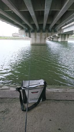 なんでも！釣りたい！