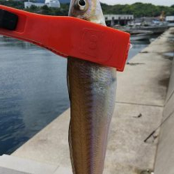 ビッグキス！！