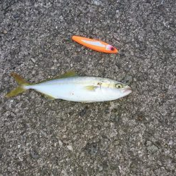 トップゲーム開幕