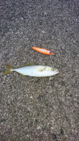 トップゲーム開幕