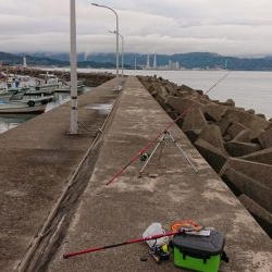 久々の和歌山釣行、キス釣り