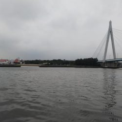 雨上がりはどうやろ？