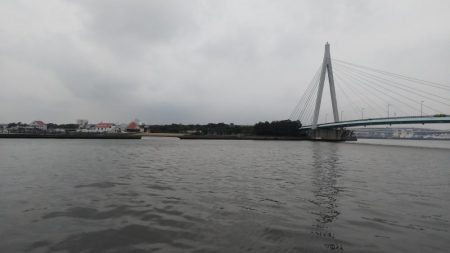 雨上がりはどうやろ？